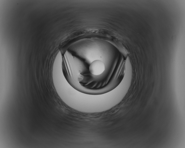 X0000082951394200703020139