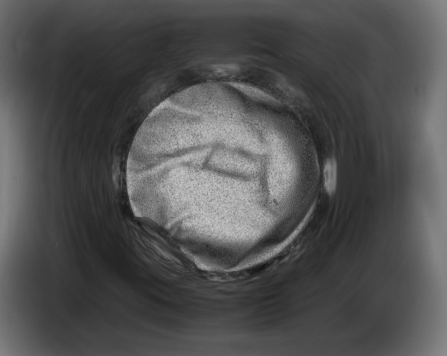 X0000082951395200703020139