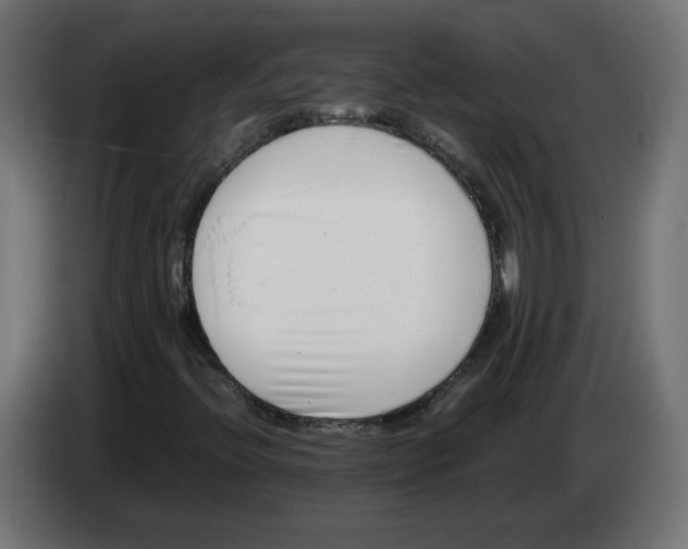 X0000082951396200703020139