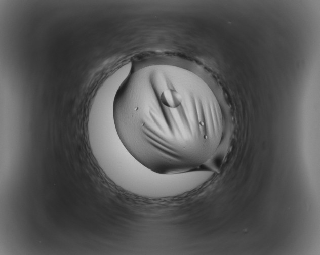 X0000082951398200703020139