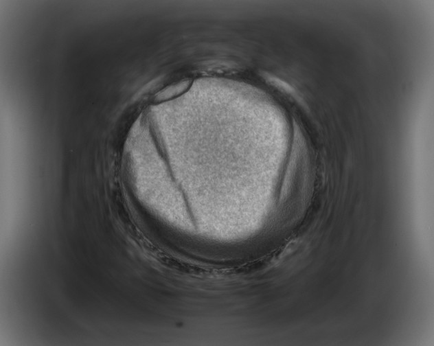 X0000082951399200703020139