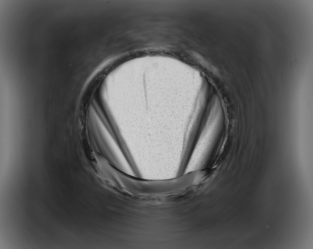 X0000082951400200703020139