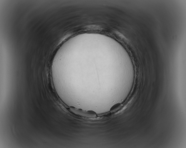 X0000082951401200703020139