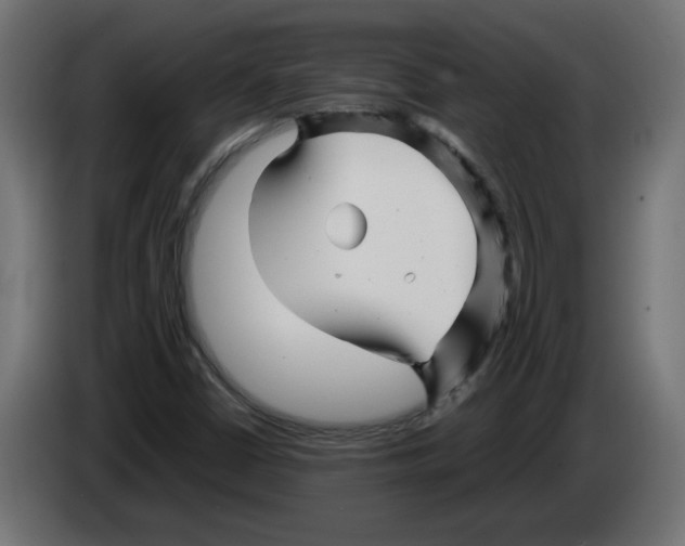 X0000082951402200703020139