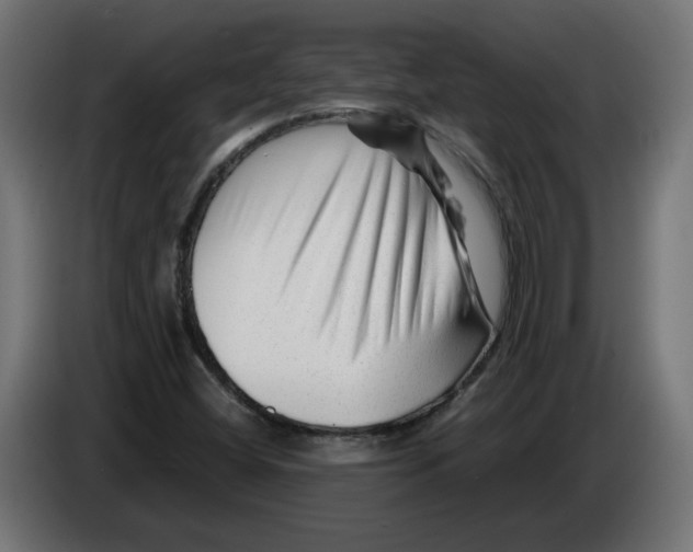 X0000082951404200703020139