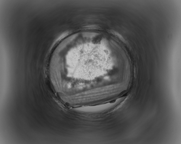 X0000082951405200703020139