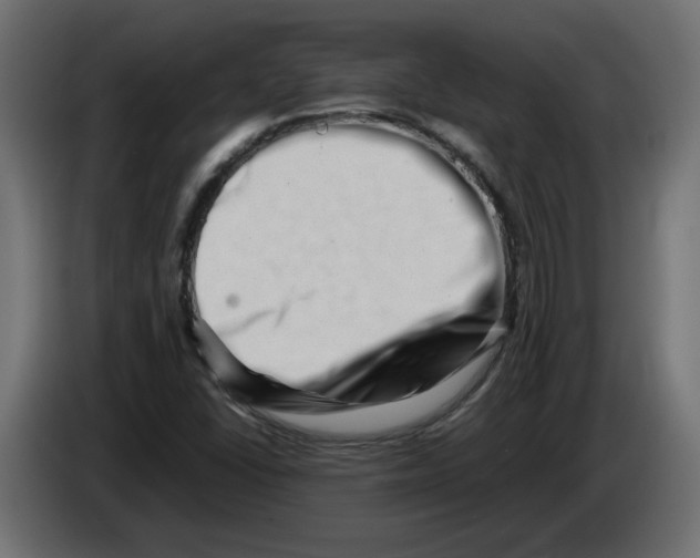 X0000082951406200703020139