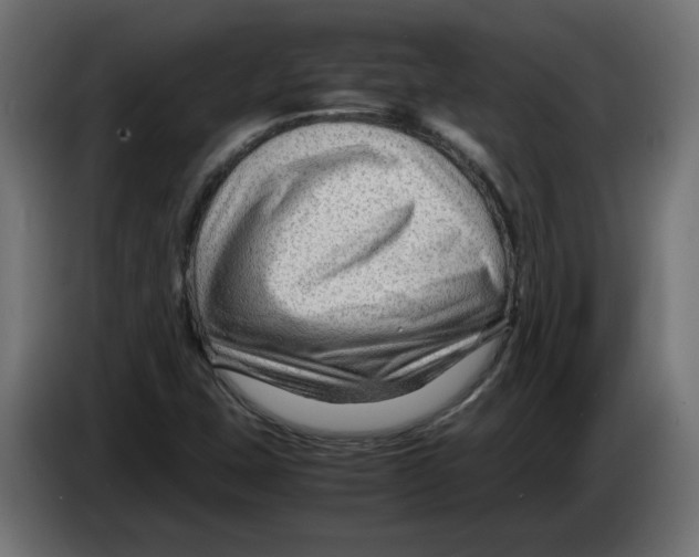 X0000082951407200703020139