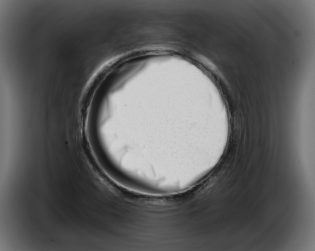 X0000082951408200703020139