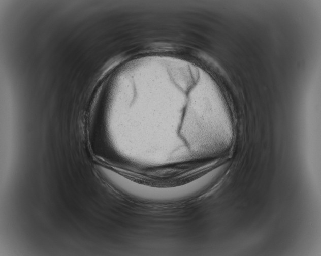 X0000082951409200703020139