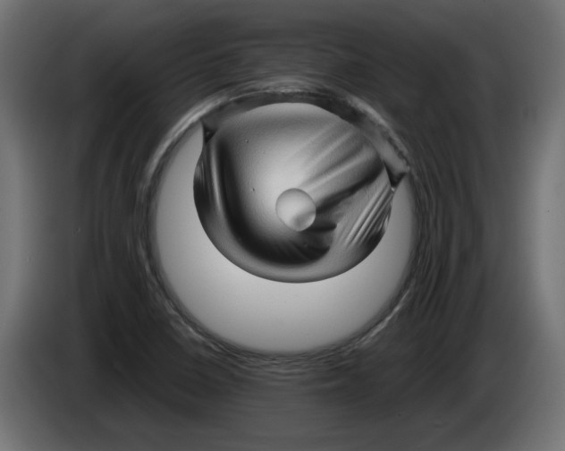 X0000082951410200703020139