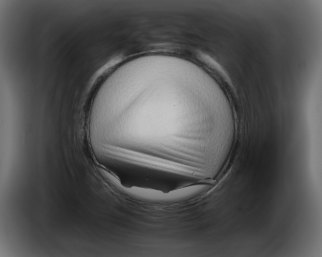 X0000082951411200703020139