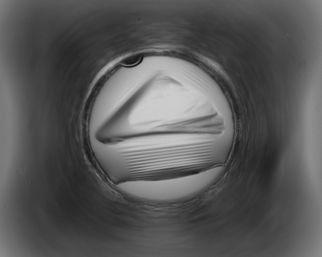 X0000082951412200703020139