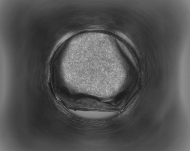 X0000082951413200703020139