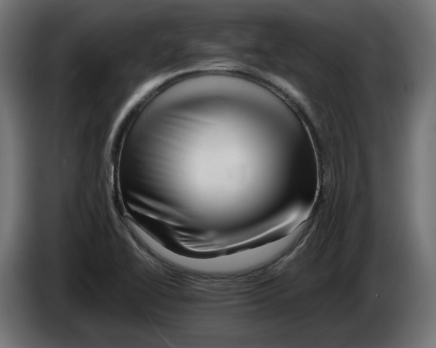 X0000082951414200703020139