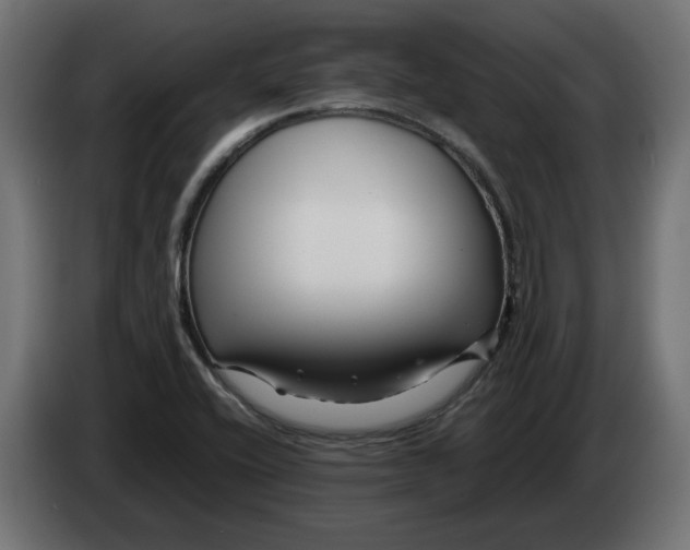 X0000082951416200703020139