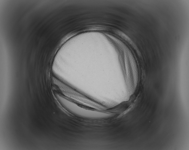 X0000082951417200703020139