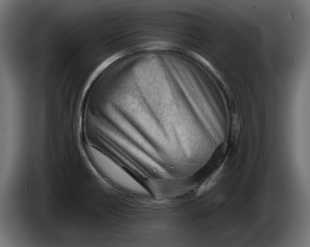 X0000082951418200703020139