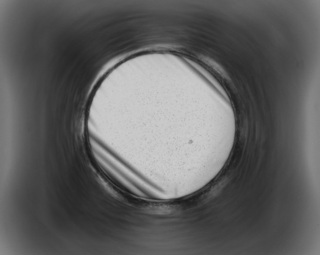 X0000082951420200703020139