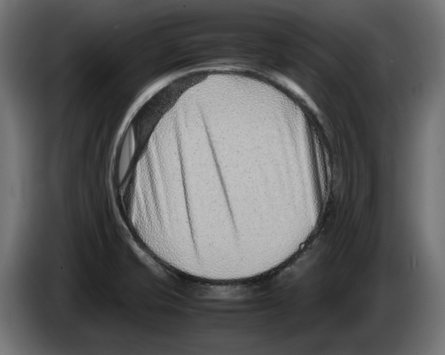 X0000082951421200703020139