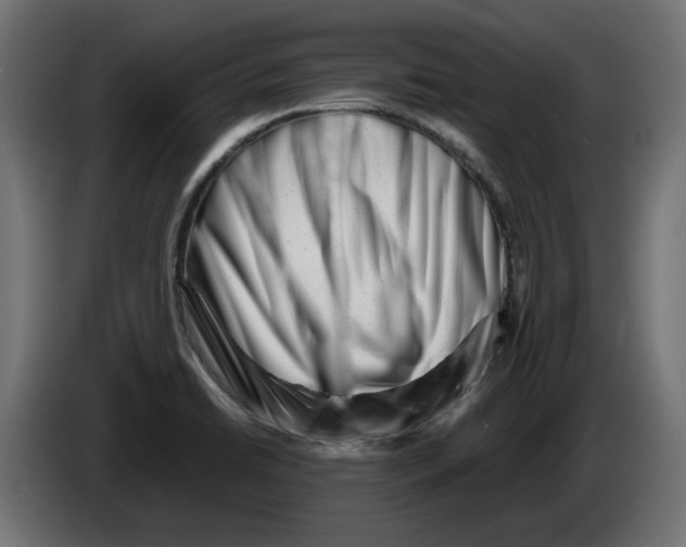 X0000082951422200703020139