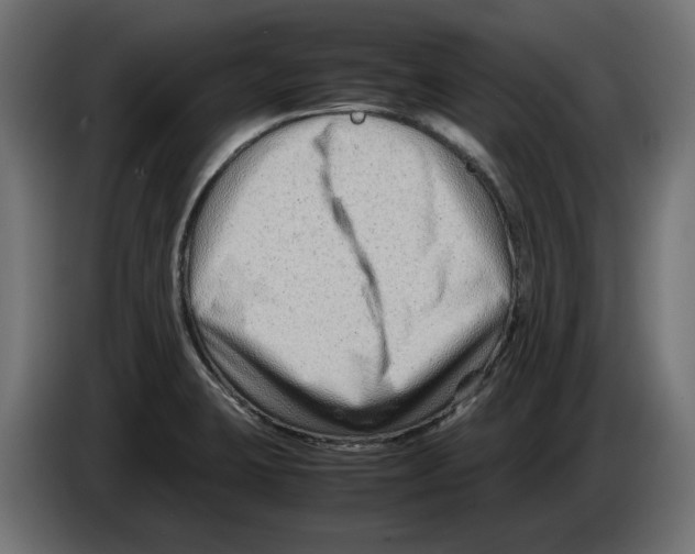 X0000082951423200703020139