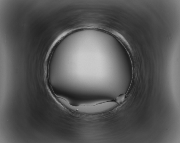 X0000082951424200703020139