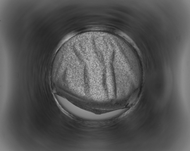 X0000082951425200703020139