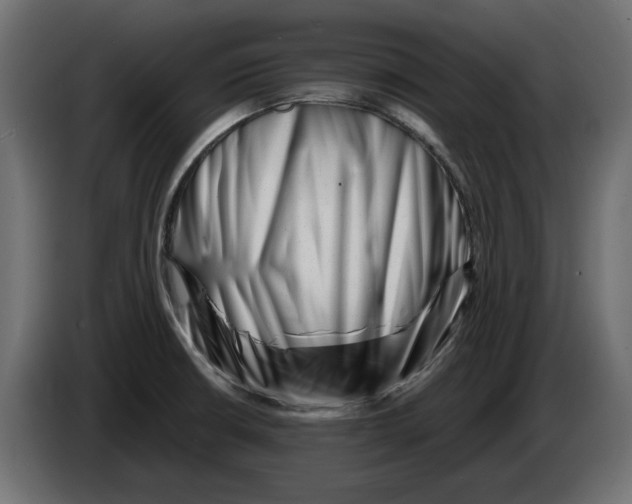 X0000082951426200703020139