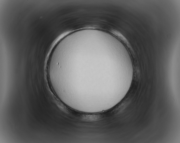 X0000082951427200703020139