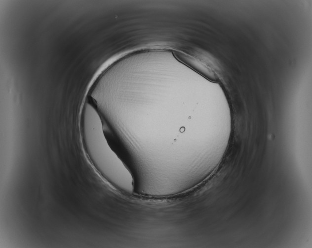 X0000082951428200703020139