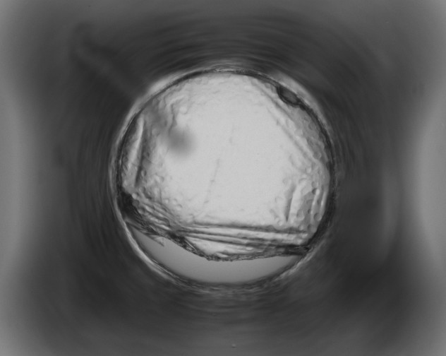 X0000082951429200703020139