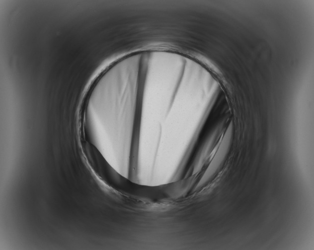 X0000082951430200703020139