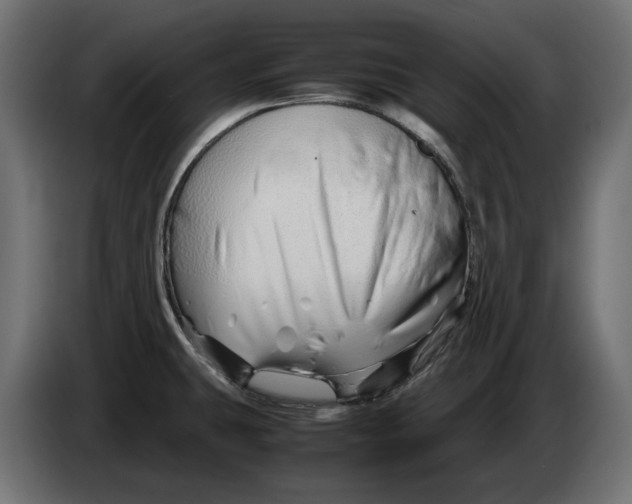 X0000082951431200703020139