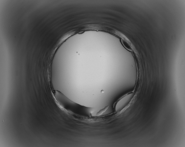 X0000082951433200703020139