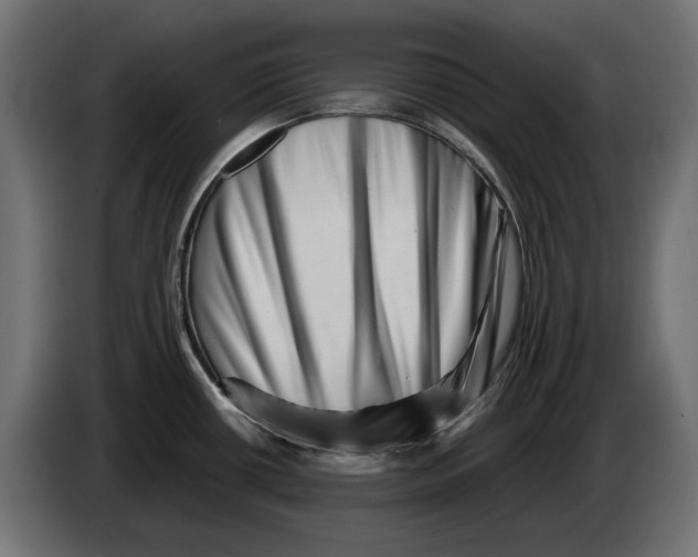 X0000082951434200703020139