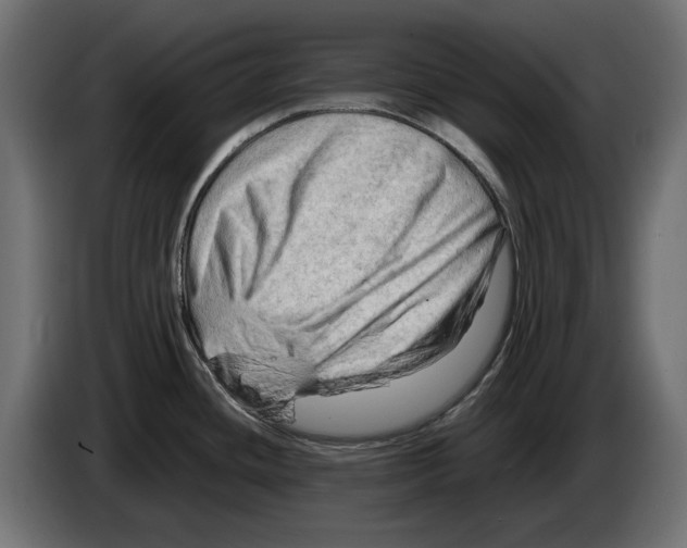 X0000082951436200703020139