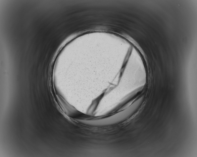 X0000082951437200703020139