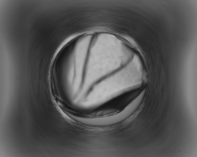 X0000082951438200703020140