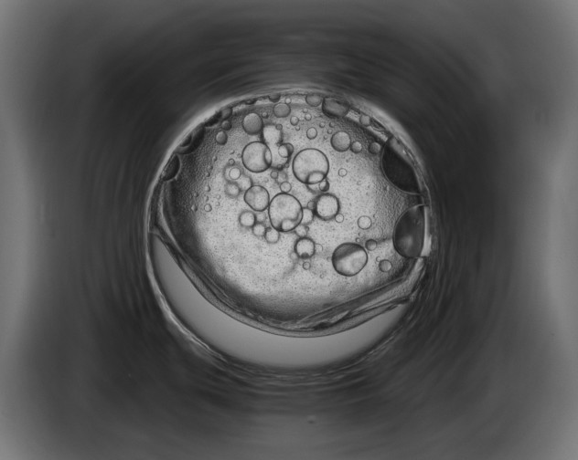 X0000082951439200703020140