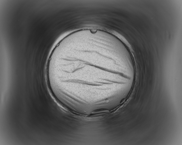 X0000082951440200703020140