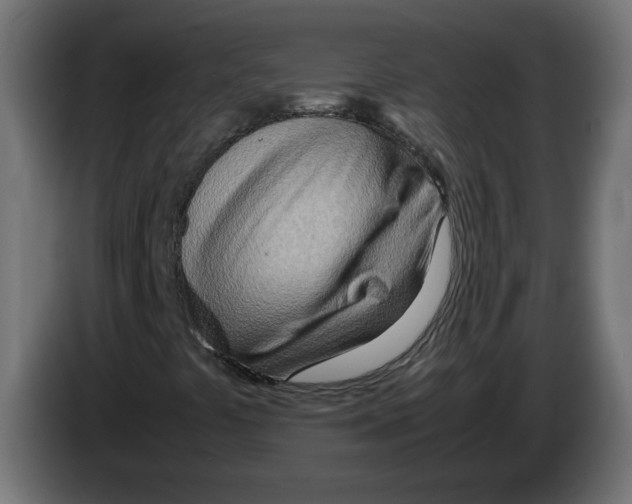 X0000082951441200703020139