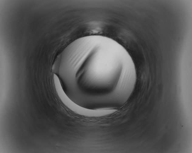 X0000082951442200703020139