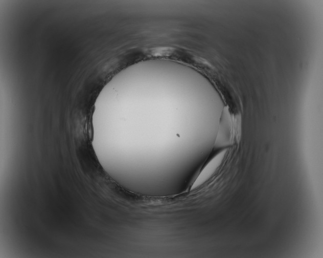 X0000082951443200703020139