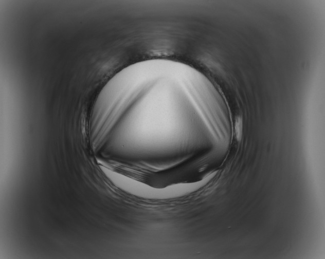 X0000082951444200703020139