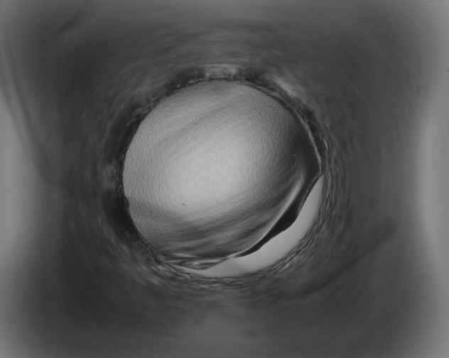 X0000082951445200703020139