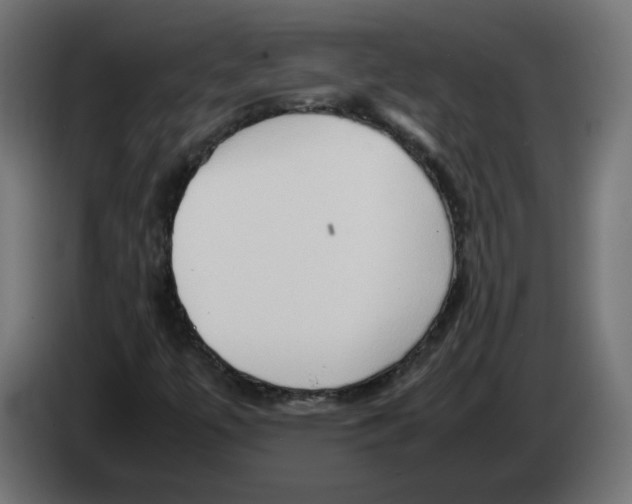 X0000082951447200703020139