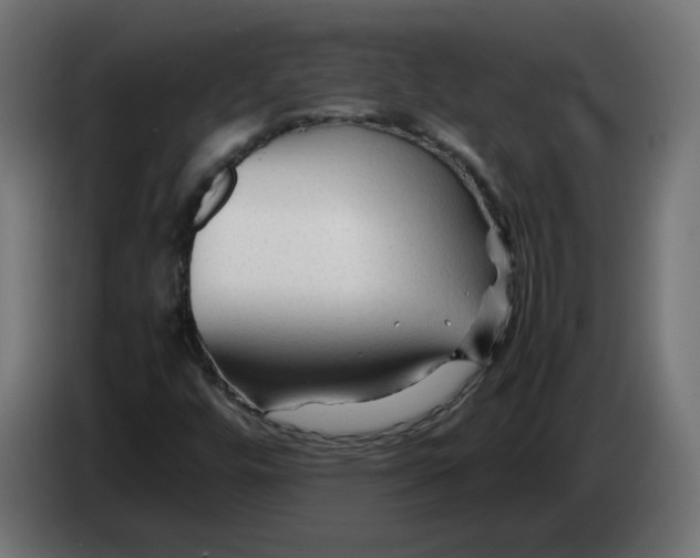 X0000082951448200703020139