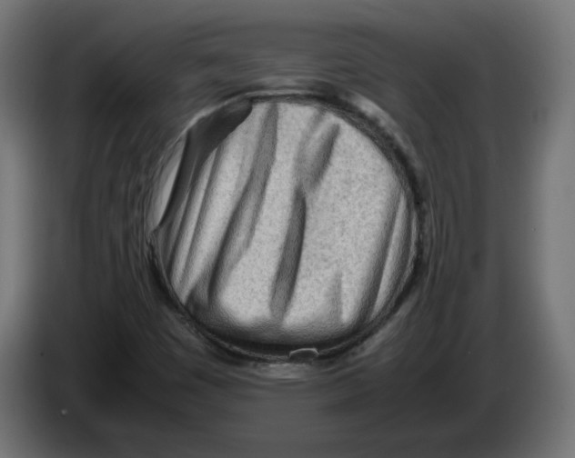 X0000082951449200703020139