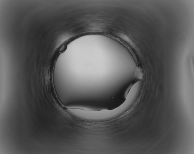 X0000082951450200703020139